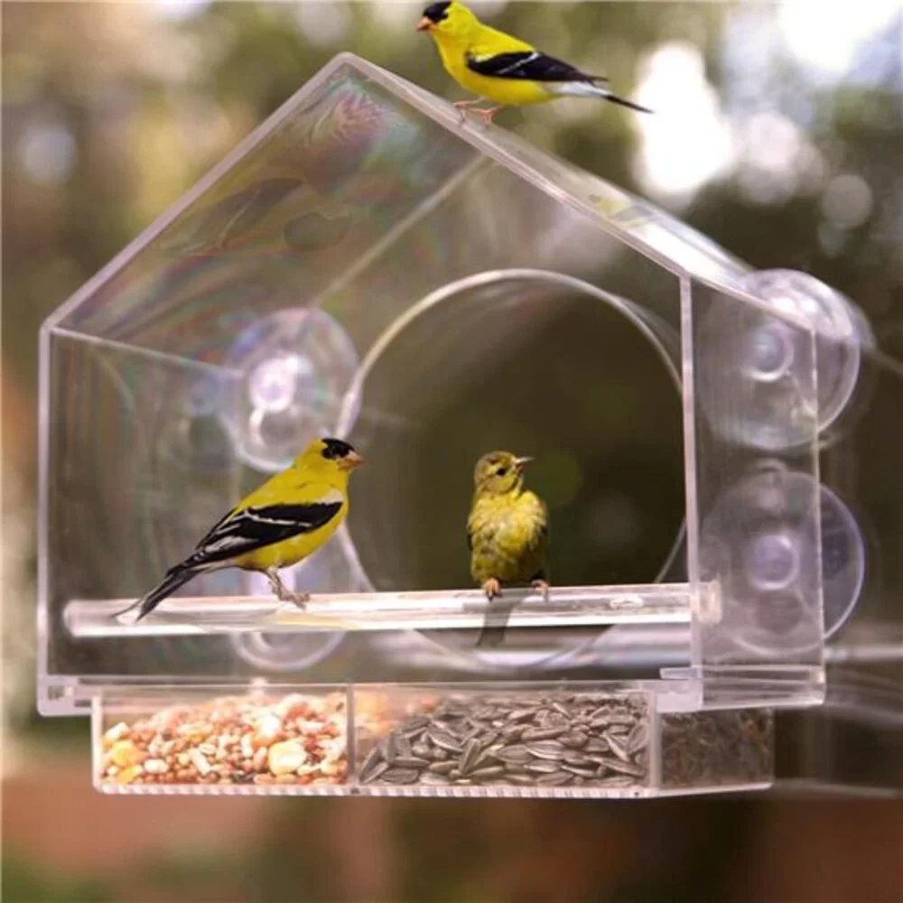 Window Bird Feeder by Nature Anywhere - Transparent Acrylic Bird Feeders